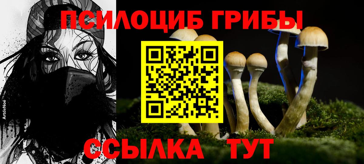 Фролово  Галлюциногенные грибы прущие грибы  Вход с VPN  Псилоцибиновые грибы мицелий 