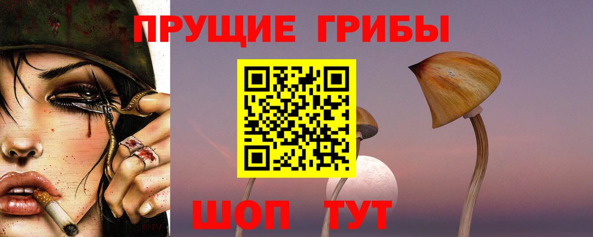 Псилоцибиновые грибы MAGIC MUSHROOMS Фролово